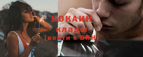 мескалин Бородино