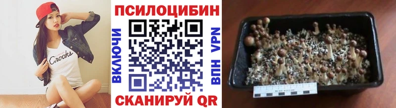 наркота  Владикавказ  kraken онион  Галлюциногенные грибы мухоморы 